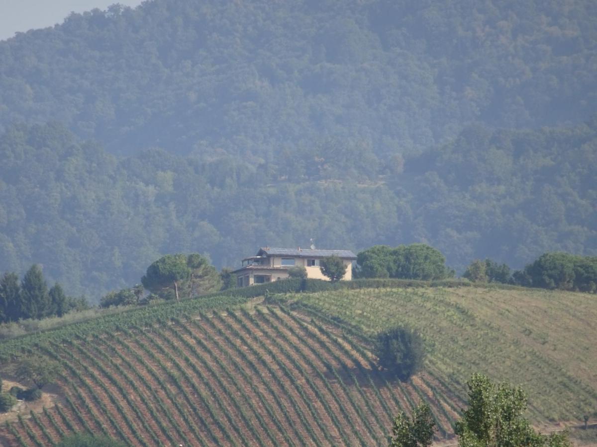 Casaro Lägenhet Albano Sant'alessandro Exteriör bild